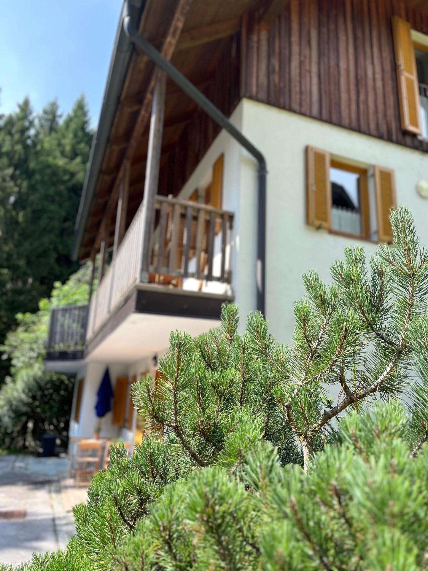 Chalet Harmony Rogla - Apartment Zreče Zewnętrze zdjęcie