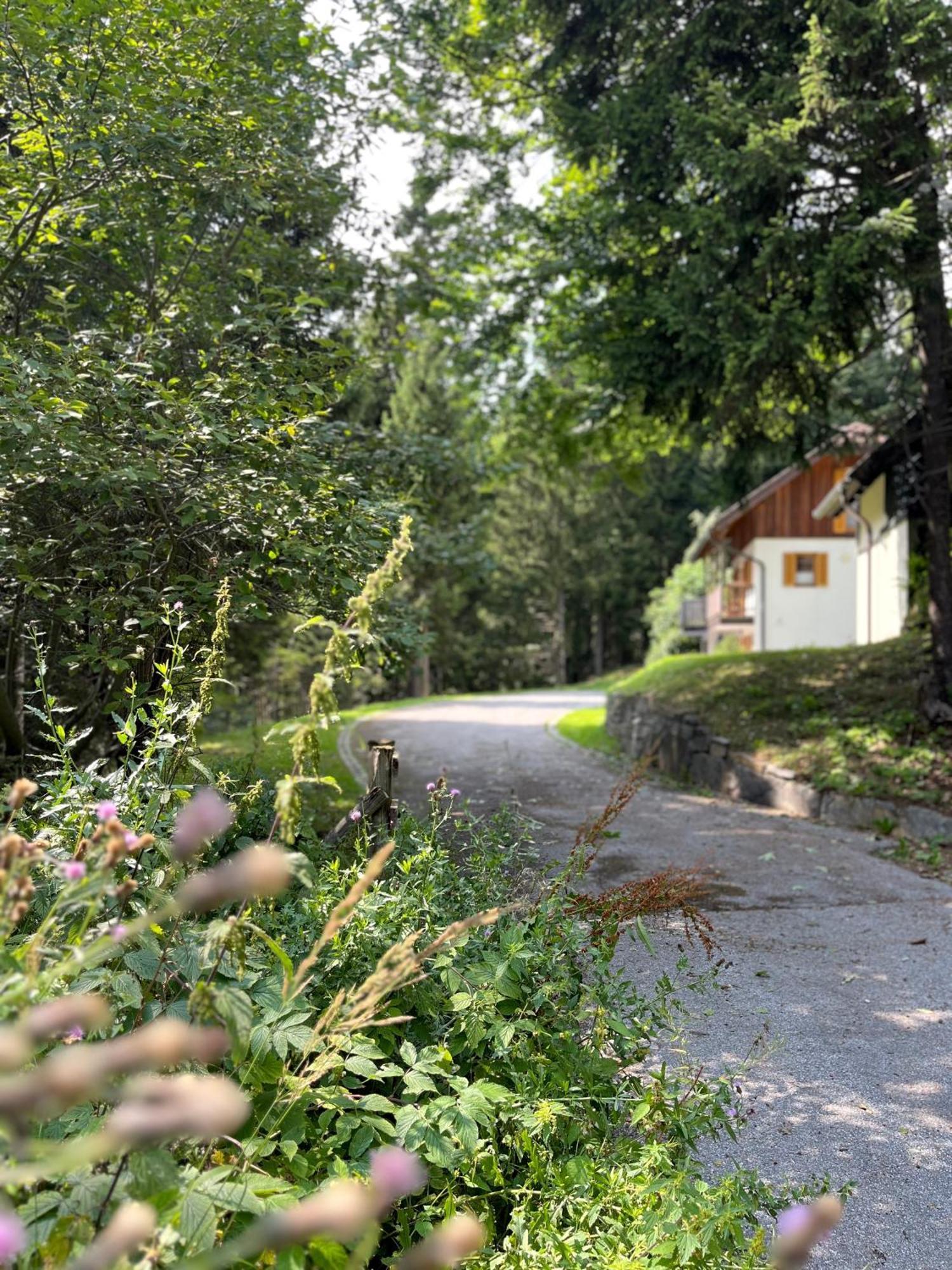 Chalet Harmony Rogla - Apartment Zreče Zewnętrze zdjęcie